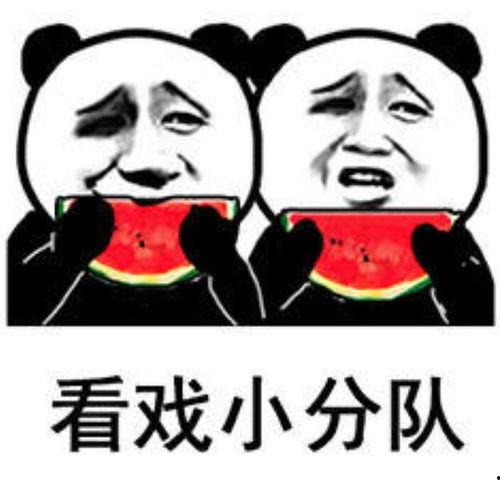 娱乐吃瓜在此,揭秘明星幕后故事，吃瓜群众狂欢时刻